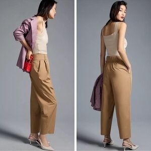 ANTHRO EXQUISE BARREL-LEG CHINO PANT